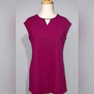 Women Violet Dress